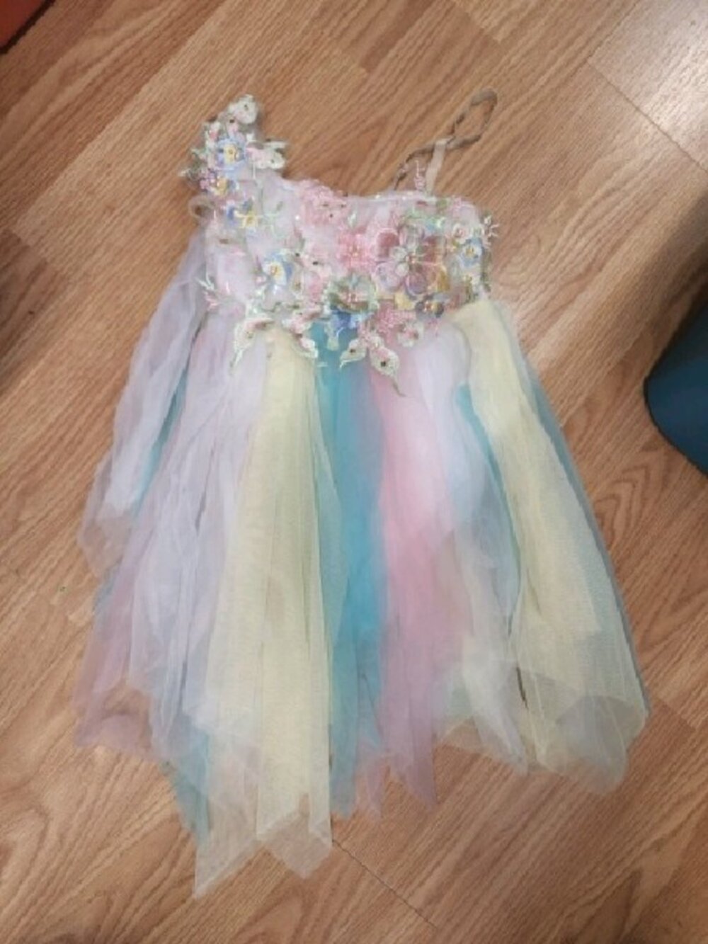 Costume Gallery “Like Wildflowers” Dance Costume